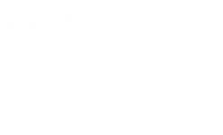 juicebar-hype_1