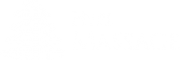 massage-hype-2